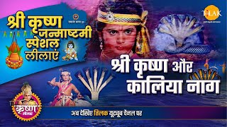 श्री कृष्ण और कलिया नाग | कृष्ण जन्माष्टमी स्पेशल कथा | Krishna Janmashtami Special Katha | Shree