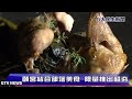 魚在水中游 頤宮部落美食端上桌 八大民生新聞