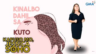 Kapuso Mo, Jessica Soho: HINDI MAUBOS-UBOS NA KUTO! KMJS FULL EPISODE APRIL 28, 2024