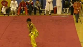 #苌家拳 黑虎拳 2015年香港国际武术节赛场库存 男子C组第一名