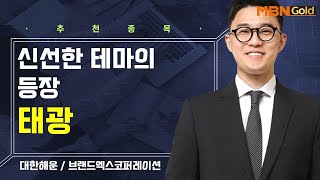 [생쇼] 신선한 테마의 등장 태광 / 생쇼 김태윤 / 매일경제TV