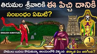 తిరుమల తిరుపతి శ్రీనివాస మంగాపురం చరిత్ర | Tirumala tirupati srinivasa mangapuram unknown history Cc