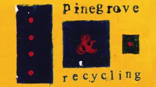 Pinegrove - Recycling