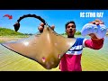 RC Stingray Under Water Fastest Fish Unboxing & Testing - Chatpat toy tv