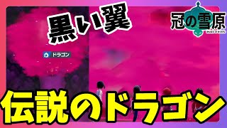 【ポケモンソードシールド】ドラゴンタイプの黒い伝説！このメンバー最強だった！？冠の雪原【エキスパンションパス】