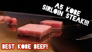 $250 Wagyu Course Meal Kobe Steak Ishida Japan