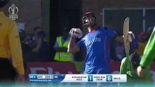 Afghanistan qualifies for ICC Cricket World Cup 2019