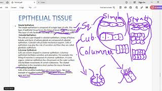 CLASS 9 BIOLOGY TISSUES (PART 3)