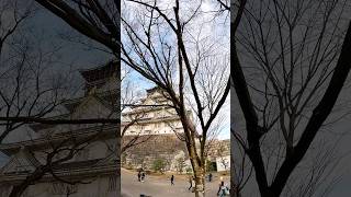 Osaka Castle #大阪城天守閣 #天守閣 #大阪自由行 #大阪景點 #日本古蹟 #日本三大名城  #tenshukaku #japantravel #monuments #castle