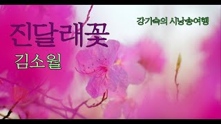 [한국 현대시의 모든 것] 진달래꽃 (김소월) 낭송 (강기숙)