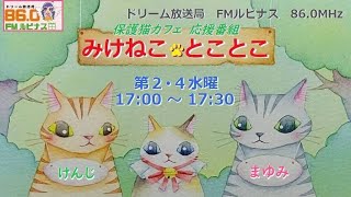 1時間スペシャル「今日は一足早いハロウィンパーティー」みけねこ☆とことこ　2022/10/26放送