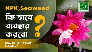 How to use Sea Weed and NPK fertilizer? | সি উইড গাছের জন্য কেন এত জরুরী ?