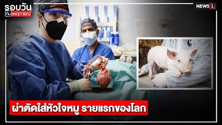 ผ่าตัดใส่หัวใจหมู รายแรกของโลก : รอบวันทันเหตุการณ์ (เที่ยง) 12/01/2022