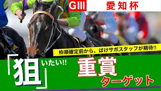 愛知杯　ばけサポ重賞ターゲット2022見解付きでピックアップ！気になるあの馬は！？