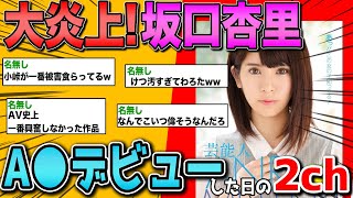 【2ch面白いスレ】大炎上！坂口杏里がA●デビューした日の2chの反応【ゆっくり解説】