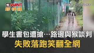 CTWANT 周刊王 即時新聞 / 男學生書包遭搶…路邊「與猴談判」　失敗落跑笑翻全網