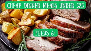 Under $20! | Cheap Sunday Dinner Meals | feeds 6+ ""Big Family Dinner Recipes on a Budget:
