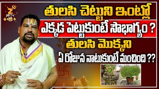 తులసి మొక్కని ఏ రోజున పెట్టాలి? | When To Plant TULASI Tree | Tulasi Puja At Home | Vastu Direction