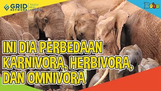 Fakta Menarik - Ini Dia Perbedaan Karnivora, Herbivora, dan Omnivora