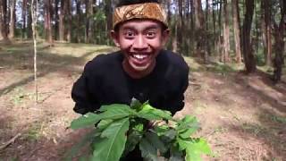 DWI CARAKA - JALEULEU JA, HITAM, DAUN PUSPA \u0026 MIMIN (COVER)