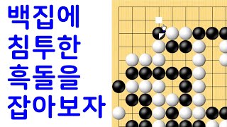 백집에 침투한흑돌을잡아보자 칠전팔기 타이젬 바둑3급  실제둔 바둑기보입니다