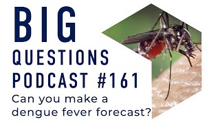 Can you make a dengue fever forecast?