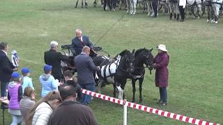 Fogathajtás, eredményhirdetés, részlet, CAN-C,D, Jászberény, 2018., v180922-3-127