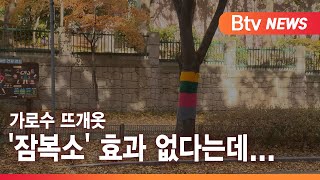 [군포] 가로수 뜨개 옷 '잠복소' 효과 없다는데