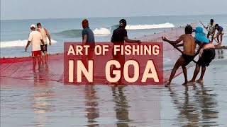 Art of fishing in Goa | INDIA