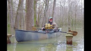 Sky Lake WMA Mississippi