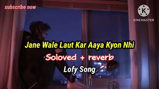 Jane Wale Laut Kar Aaye Kyon Nhi (Soloved+reverb) Lofy Song hindi