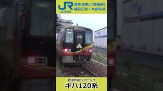 キハ120系「戦国列車ラッピング」 @越前花堂駅