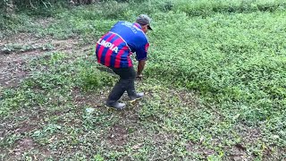 Seguimos con Marito Limpiando el Solar para Sembrar Pepinos y Tomate..🥒🍅🥒🍅