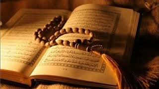 55 Surah Ar-Rahman ||beautiful recitation||📖📖||سورة الرحمان||Quran one day