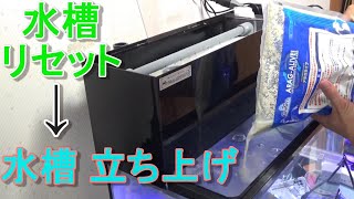 海水魚水槽 リセットします。後編