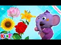 Elephant Dessin Animé | Apprenez les fleurs en français avec Kent | Bébé Kent