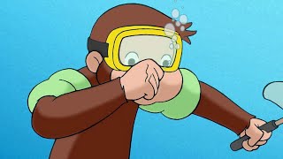 Curioso Come George 🐵 George trova nuovi animali domestici 🐵Cartoni per Bambini