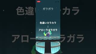 ポケモンGO 色違いカラカラ出現！色違いアローラガラガラへ進化！