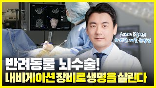 반려동물도 뇌수술이 가능할까? 내비게이션 장비로 생명을 구한다 | 벳터뷰 EP.08-3