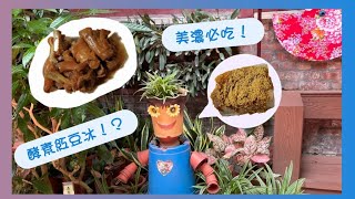 美濃必吃林家粄條！客家小炒、豬腳、高麗菜封/旗山糖廠健素糖冰！旗山老街VOLG