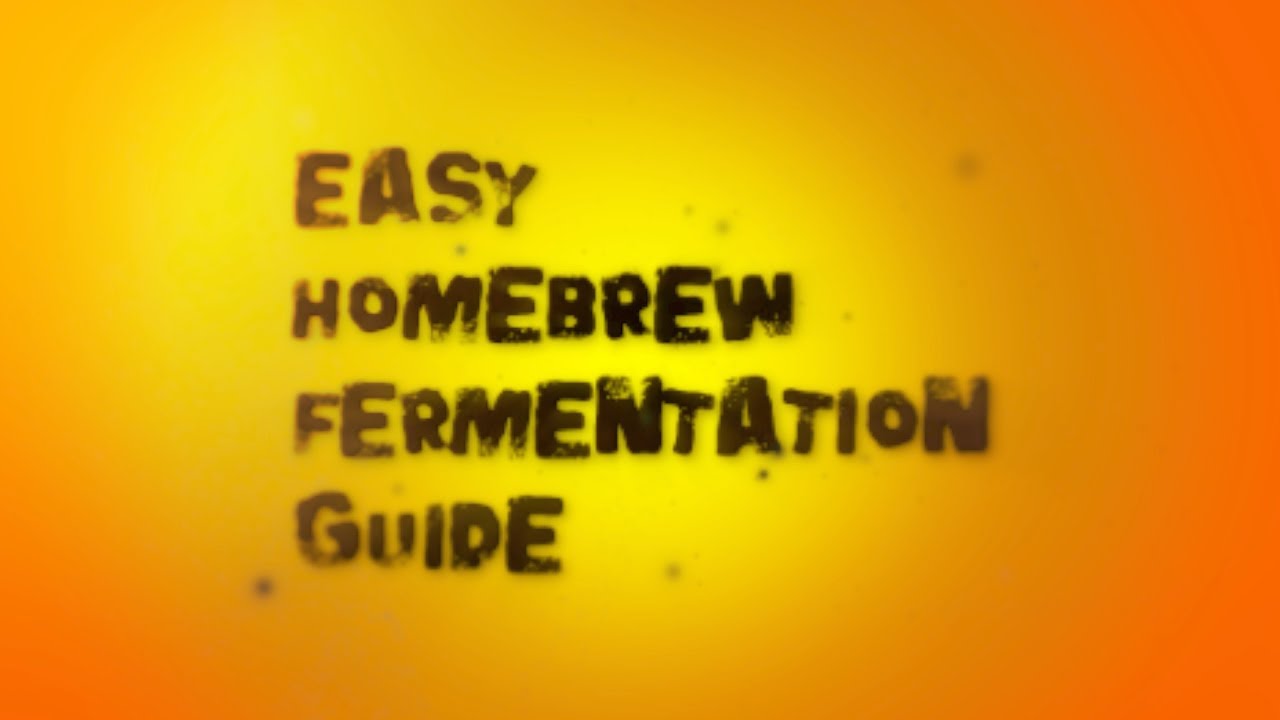 Easy Home Brew Fermentation Guide Brew Insight