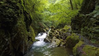 西沢渓谷 NISHIZAWA GORGE 5K / DJI Mavic 3 Pro