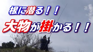 カレイが釣りたいんじゃ～！カレイが釣りたいから荘内～高松を翔る！？呪術？○○の呪縛？