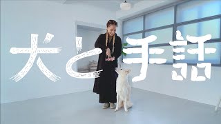 【犬と手話】愛犬とつくる新しいコミュニケーション