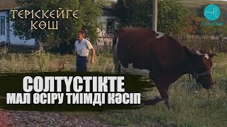 Теріскейге көш | Солтүстікте мал өсіру тиімді кәсіп | 5 шығарылым