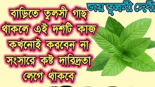 বাড়িতে তুলসী গাছ থাকলে এই 10 টি কাজ কখনোই করবেন না যদি দুঃখ কষ্ট ও দারিদ্রতা থেকে বাঁচতে চান