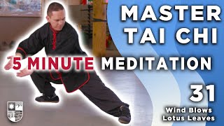 5 MINUTE MEDITATION IN MOTION - Tai Chi with Master Tyehao Lu - Lesson 31