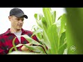 combating climate change bayer give it a minute