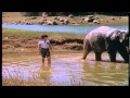 Download Main Aur Mera Hathi In Mp4 3Gp Full HD Video