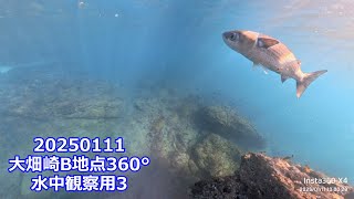 20250111大畑崎B地点360°水中撮影3（09:22～10:24）